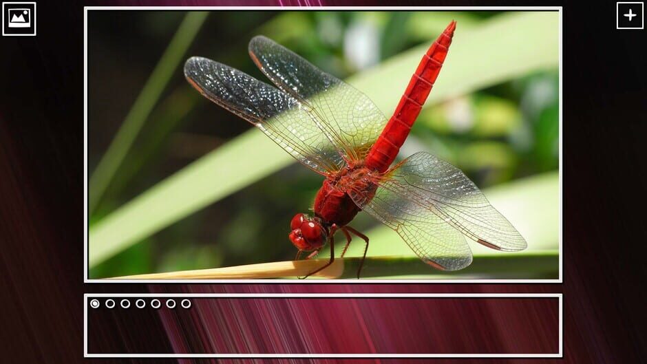 สกรีนช็อตจาก Super Jigsaw Puzzle: Generations - Bugs Puzzles (รูปที่ 10)