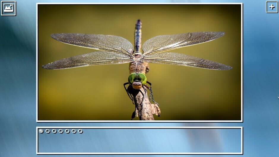สกรีนช็อตจาก Super Jigsaw Puzzle: Generations - Bugs Puzzles (รูปที่ 11)