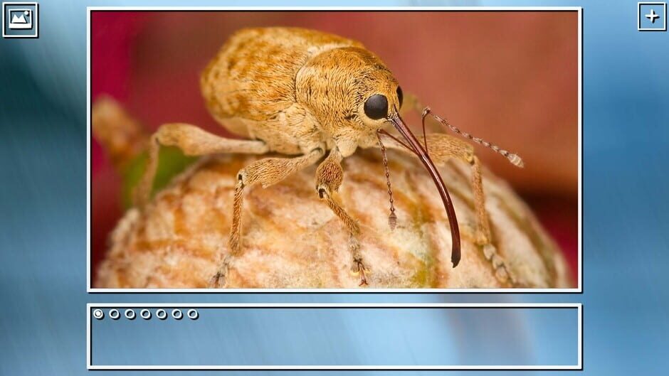 สกรีนช็อตจาก Super Jigsaw Puzzle: Generations - Bugs Puzzles (รูปที่ 12)