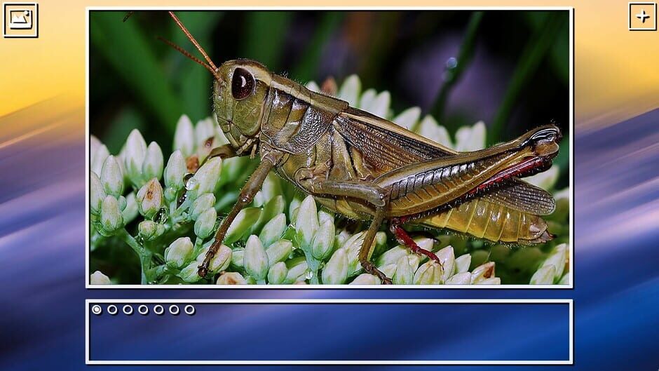 สกรีนช็อตจาก Super Jigsaw Puzzle: Generations - Bugs Puzzles (รูปที่ 13)