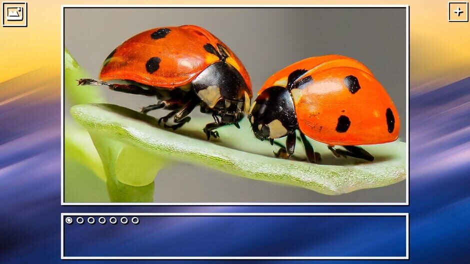 สกรีนช็อตจาก Super Jigsaw Puzzle: Generations - Bugs Puzzles (รูปที่ 15)
