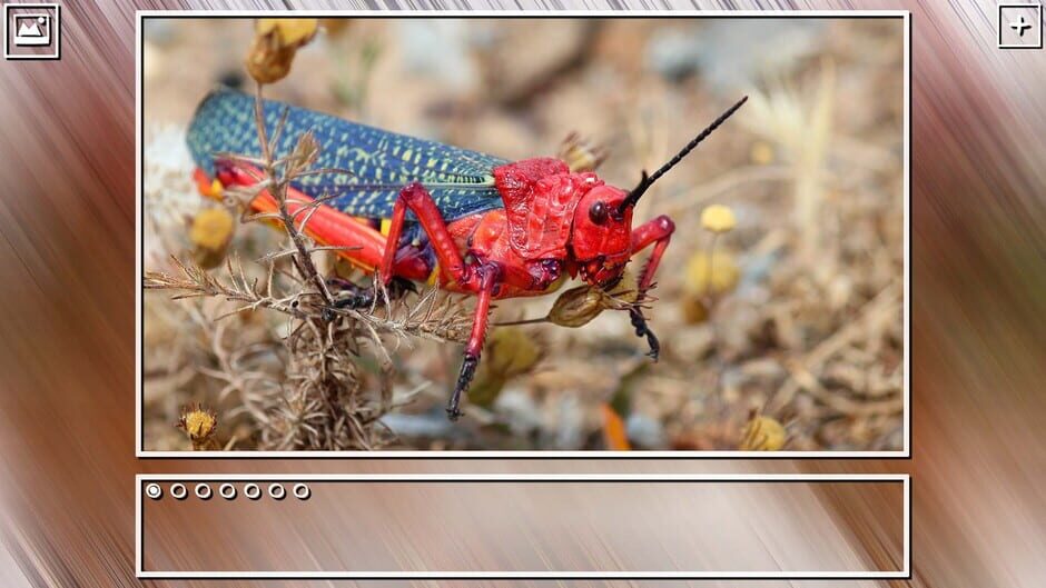 สกรีนช็อตจาก Super Jigsaw Puzzle: Generations - Bugs Puzzles (รูปที่ 17)