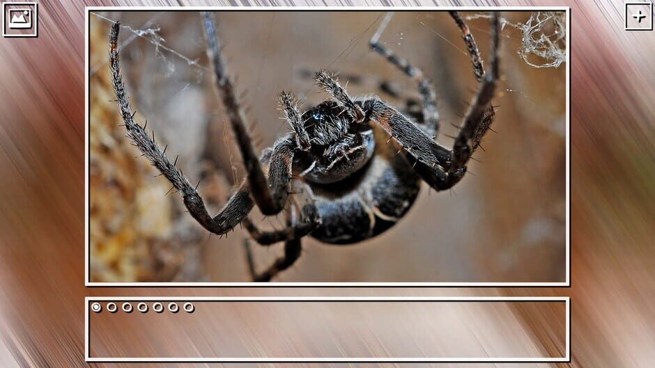 สกรีนช็อตจาก Super Jigsaw Puzzle: Generations - Bugs Puzzles (รูปที่ 18)