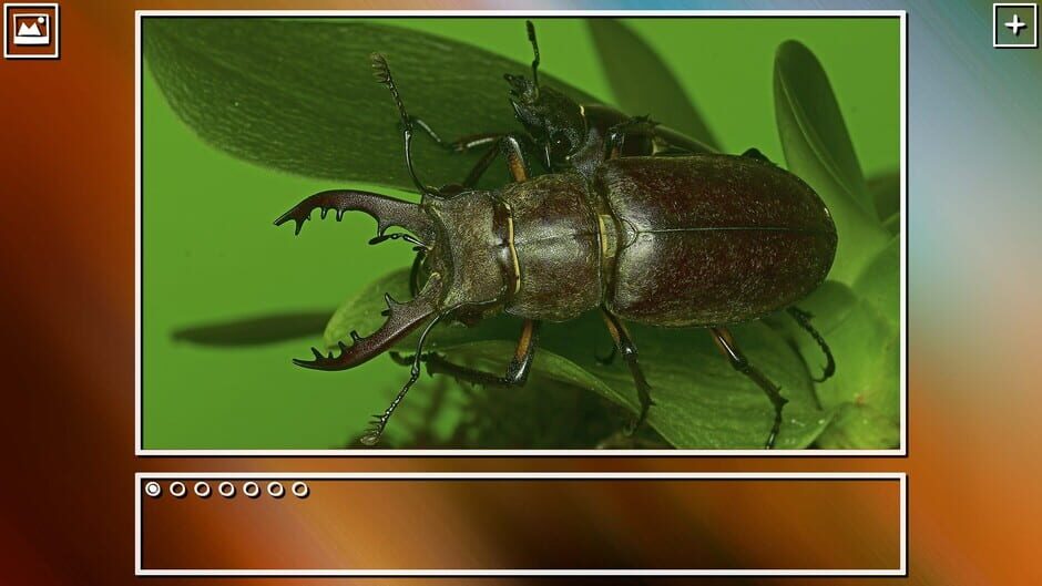 สกรีนช็อตจาก Super Jigsaw Puzzle: Generations - Bugs Puzzles (รูปที่ 19)