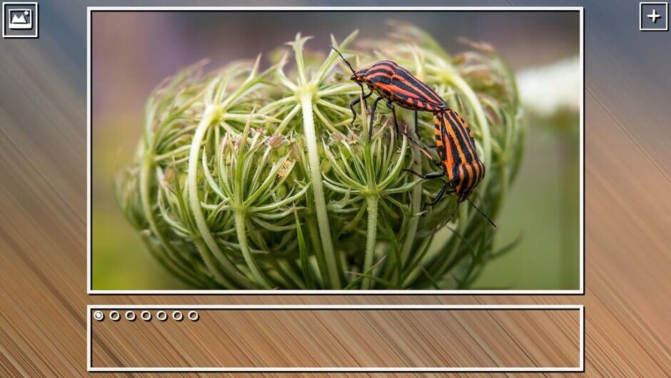 สกรีนช็อตจาก Super Jigsaw Puzzle: Generations - Bugs Puzzles (รูปที่ 20)