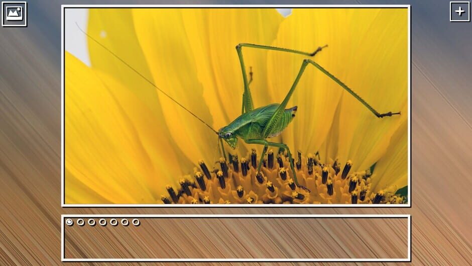 สกรีนช็อตจาก Super Jigsaw Puzzle: Generations - Bugs Puzzles (รูปที่ 21)