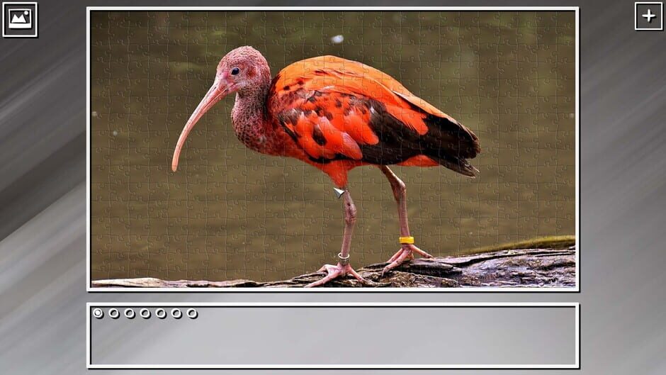 สกรีนช็อตจาก Super Jigsaw Puzzle: Generations - Random Animals Puzzles (รูปที่ 12)