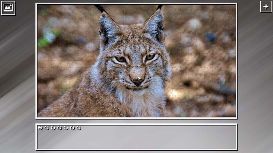 สกรีนช็อตจาก Super Jigsaw Puzzle: Generations - Random Animals Puzzles (รูปที่ 16)