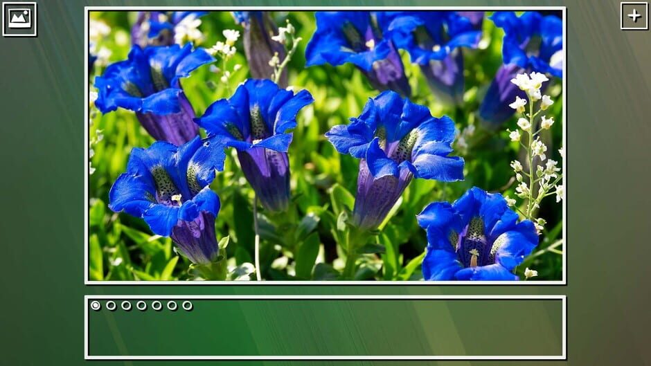 สกรีนช็อตจาก Super Jigsaw Puzzle: Generations - Flowers Puzzles (รูปที่ 7)