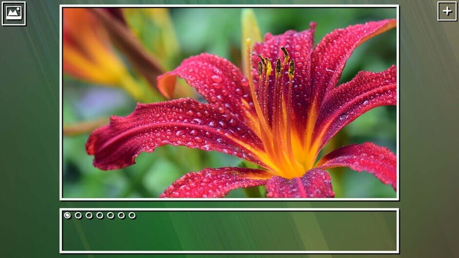 สกรีนช็อตจาก Super Jigsaw Puzzle: Generations - Flowers Puzzles (รูปที่ 9)