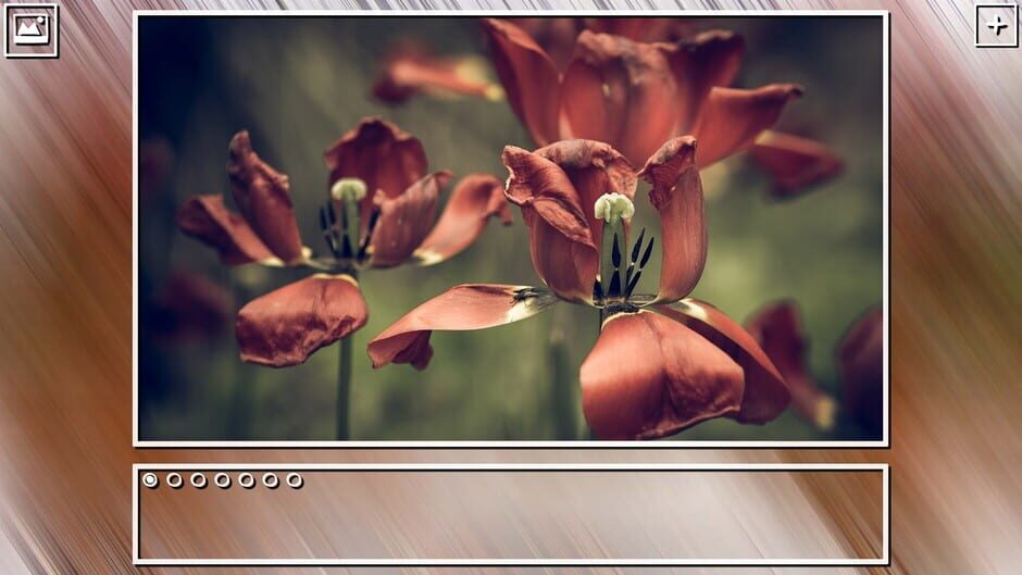 สกรีนช็อตจาก Super Jigsaw Puzzle: Generations - Flowers Puzzles (รูปที่ 21)