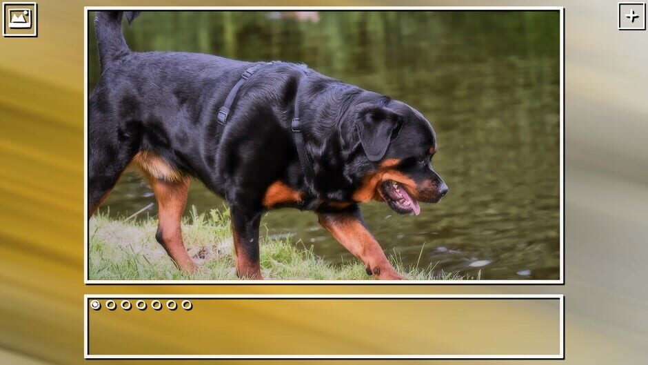 สกรีนช็อตจาก Super Jigsaw Puzzle: Generations - Dogs Puzzles (รูปที่ 2)