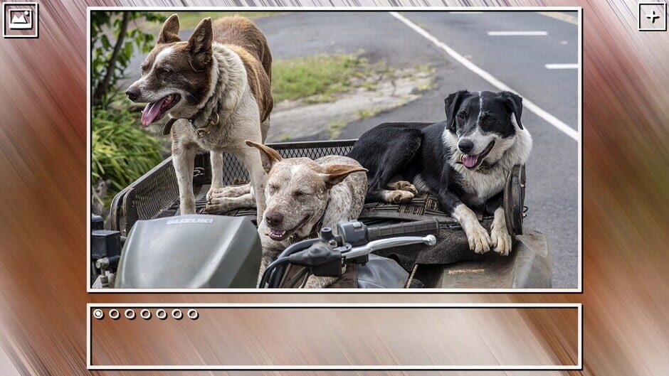 สกรีนช็อตจาก Super Jigsaw Puzzle: Generations - Dogs Puzzles (รูปที่ 4)