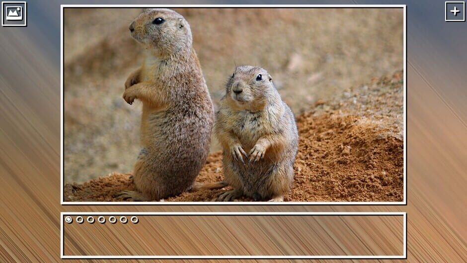 สกรีนช็อตจาก Super Jigsaw Puzzle: Generations - Dogs Puzzles (รูปที่ 5)