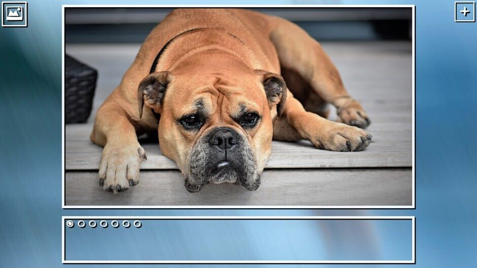 สกรีนช็อตจาก Super Jigsaw Puzzle: Generations - Dogs Puzzles (รูปที่ 7)
