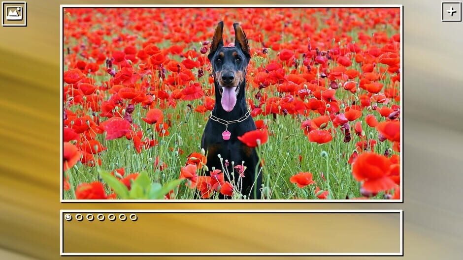สกรีนช็อตจาก Super Jigsaw Puzzle: Generations - Dogs Puzzles (รูปที่ 8)