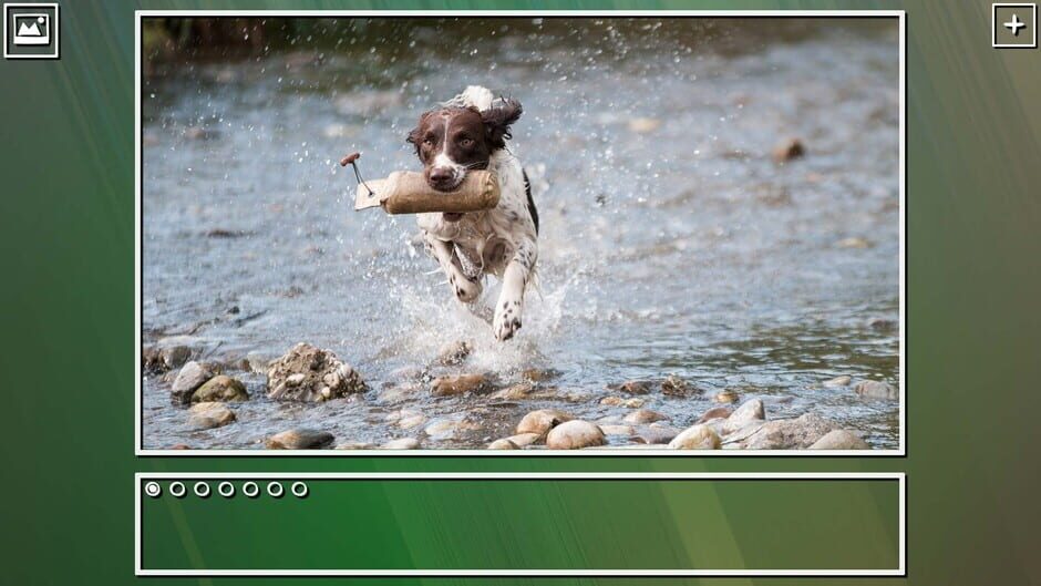 สกรีนช็อตจาก Super Jigsaw Puzzle: Generations - Dogs Puzzles (รูปที่ 10)