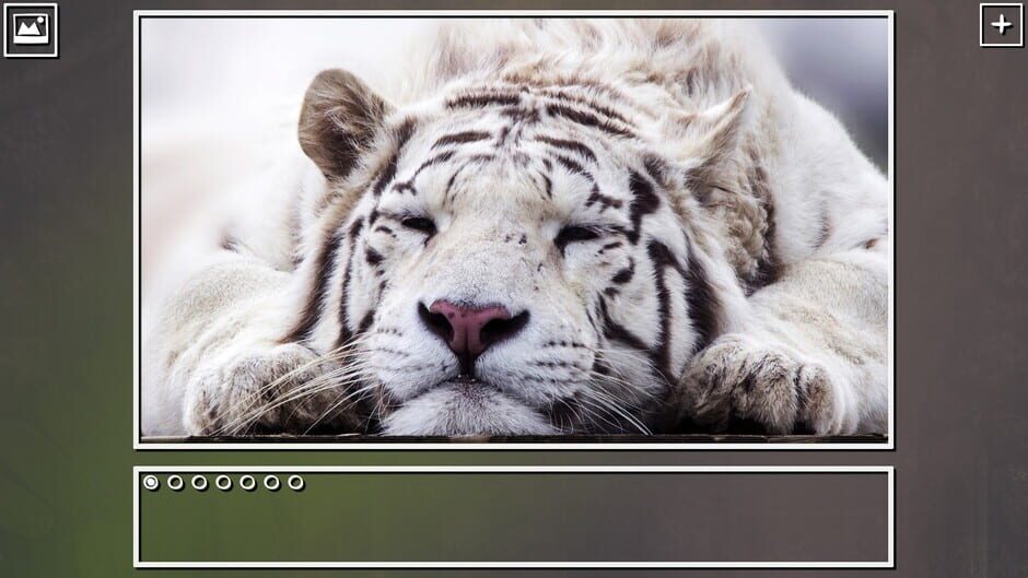 สกรีนช็อตจาก Super Jigsaw Puzzle: Generations - Big Cats Puzzles (รูปที่ 5)