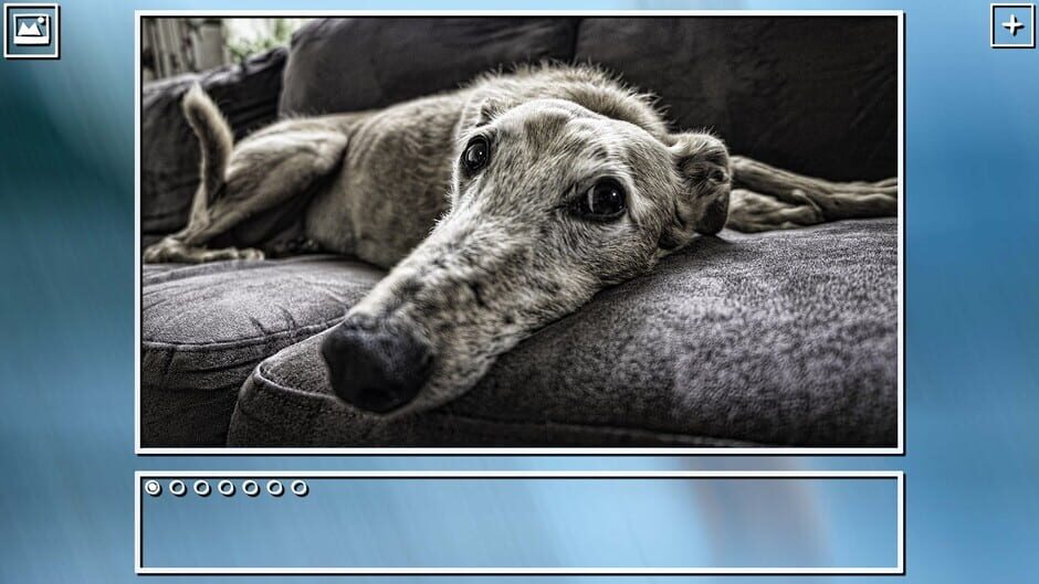 สกรีนช็อตจาก Super Jigsaw Puzzle: Generations - Dogs Puzzles (รูปที่ 14)