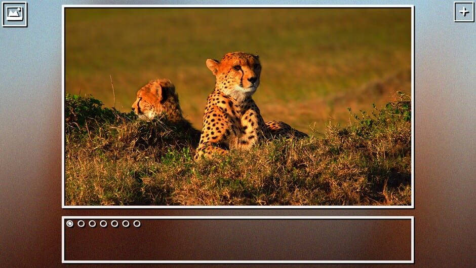 สกรีนช็อตจาก Super Jigsaw Puzzle: Generations - Big Cats Puzzles (รูปที่ 7)