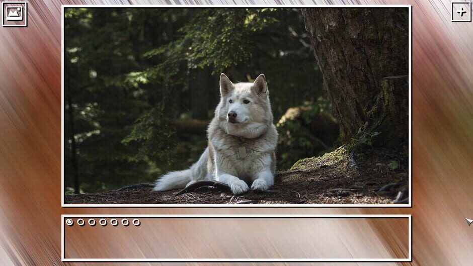 สกรีนช็อตจาก Super Jigsaw Puzzle: Generations - Dogs Puzzles (รูปที่ 16)