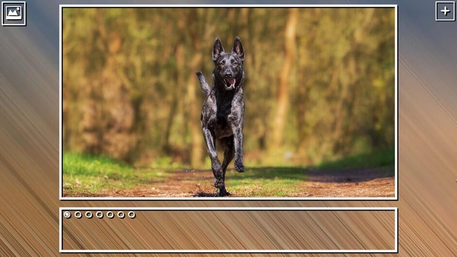 สกรีนช็อตจาก Super Jigsaw Puzzle: Generations - Dogs Puzzles (รูปที่ 17)