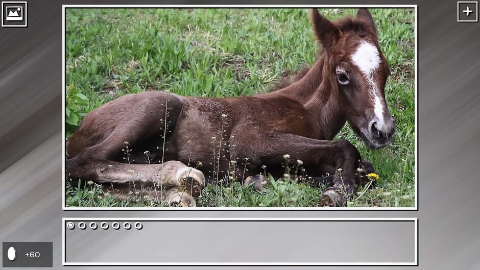 สกรีนช็อตจาก Super Jigsaw Puzzle: Generations - Horses Puzzles (รูปที่ 4)