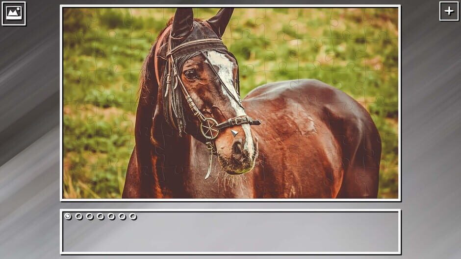 สกรีนช็อตจาก Super Jigsaw Puzzle: Generations - Horses Puzzles (รูปที่ 6)