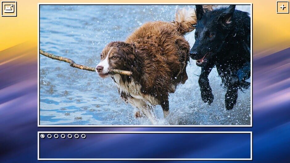 สกรีนช็อตจาก Super Jigsaw Puzzle: Generations - Dogs Puzzles (รูปที่ 20)