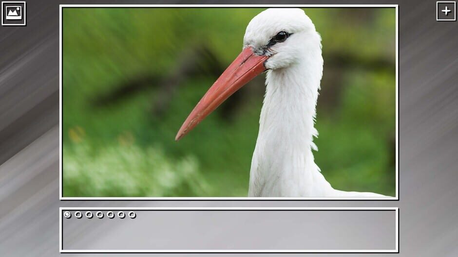 สกรีนช็อตจาก Super Jigsaw Puzzle: Generations - Birds Puzzles (รูปที่ 2)