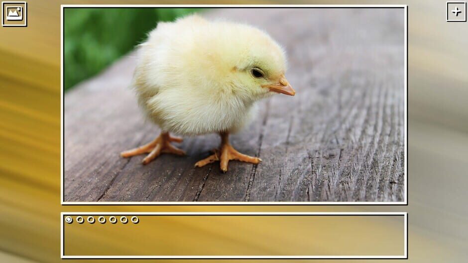 สกรีนช็อตจาก Super Jigsaw Puzzle: Generations - Birds Puzzles (รูปที่ 3)