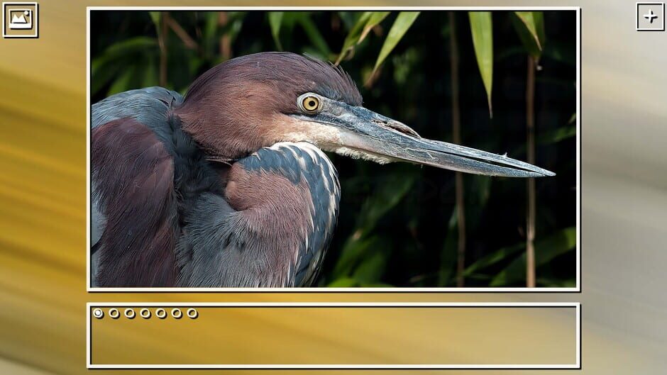 สกรีนช็อตจาก Super Jigsaw Puzzle: Generations - Birds Puzzles (รูปที่ 4)