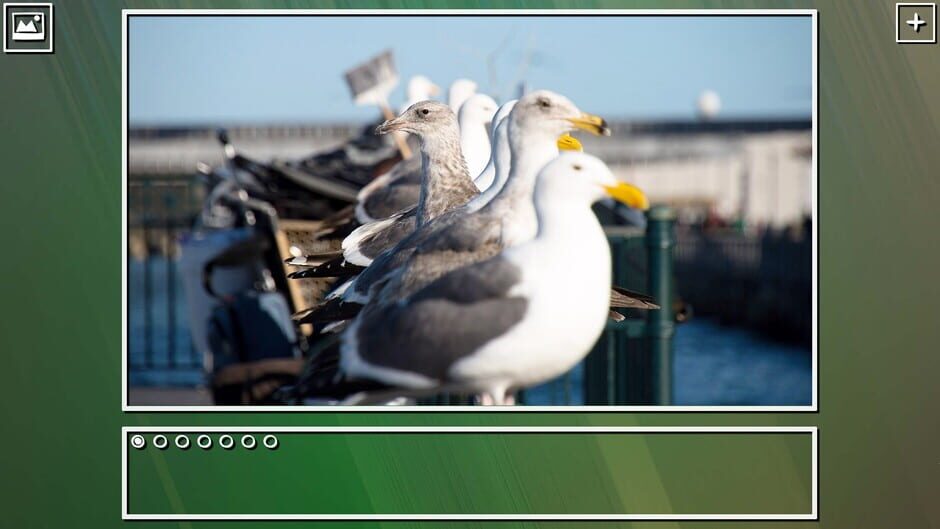 สกรีนช็อตจาก Super Jigsaw Puzzle: Generations - Birds Puzzles (รูปที่ 5)