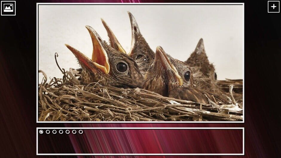 สกรีนช็อตจาก Super Jigsaw Puzzle: Generations - Birds Puzzles (รูปที่ 7)