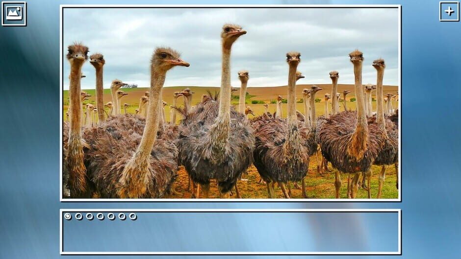 สกรีนช็อตจาก Super Jigsaw Puzzle: Generations - Birds Puzzles (รูปที่ 8)