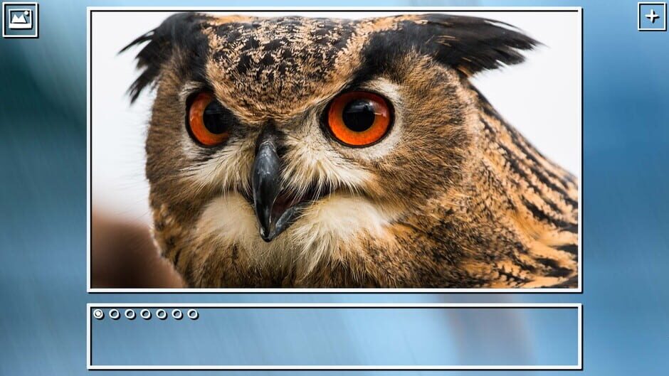 สกรีนช็อตจาก Super Jigsaw Puzzle: Generations - Birds Puzzles (รูปที่ 9)