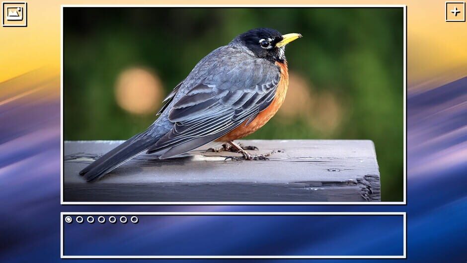 สกรีนช็อตจาก Super Jigsaw Puzzle: Generations - Birds Puzzles (รูปที่ 11)