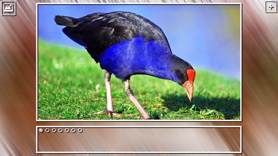 สกรีนช็อตจาก Super Jigsaw Puzzle: Generations - Birds Puzzles (รูปที่ 13)
