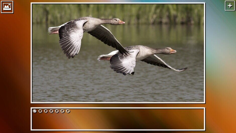สกรีนช็อตจาก Super Jigsaw Puzzle: Generations - Birds Puzzles (รูปที่ 14)