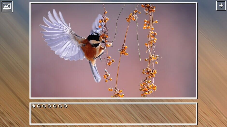 สกรีนช็อตจาก Super Jigsaw Puzzle: Generations - Birds Puzzles (รูปที่ 15)