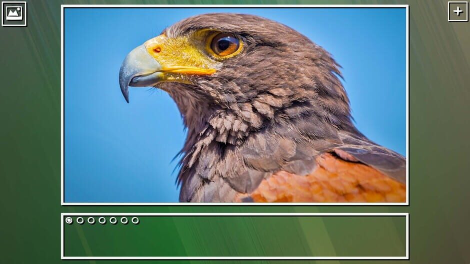 สกรีนช็อตจาก Super Jigsaw Puzzle: Generations - Birds Puzzles (รูปที่ 17)