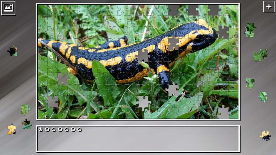 สกรีนช็อตจาก Super Jigsaw Puzzle: Generations - Reptiles (รูปที่ 6)