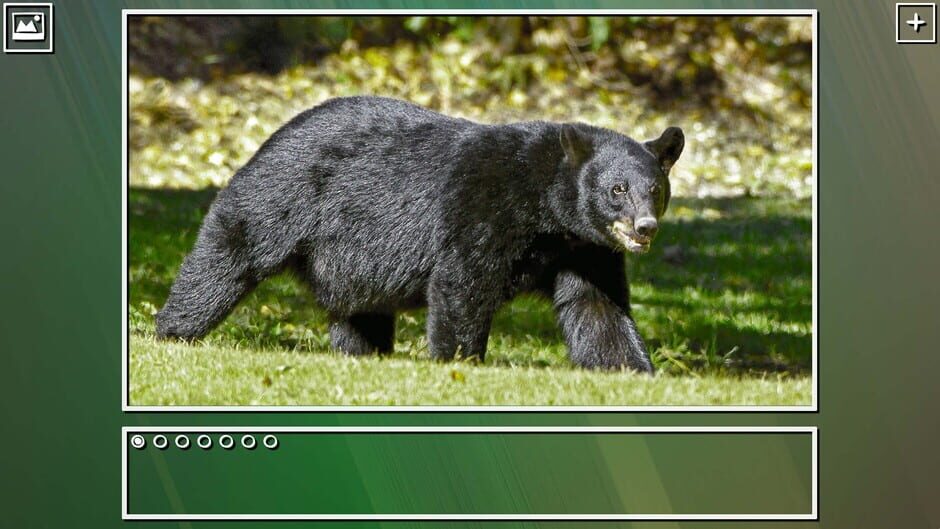 สกรีนช็อตจาก Super Jigsaw Puzzle: Generations - Bears Puzzles (รูปที่ 8)