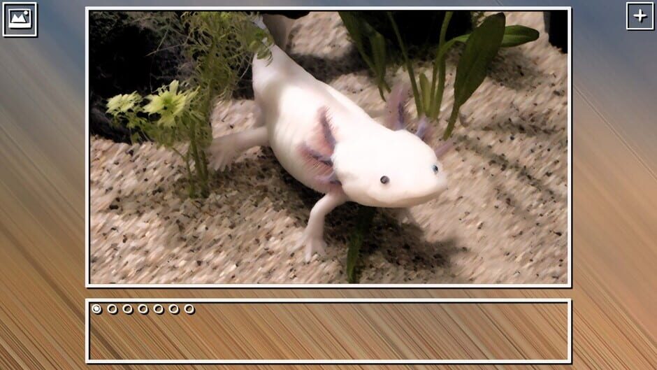 สกรีนช็อตจาก Super Jigsaw Puzzle: Generations - Mexico Puzzles (รูปที่ 4)