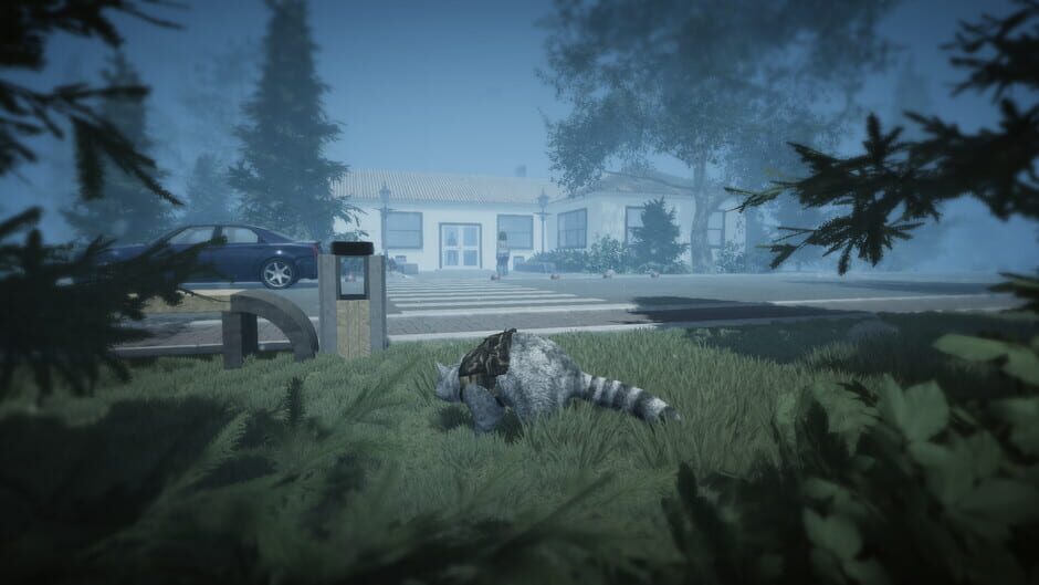 Wanted Raccoon Screenshot