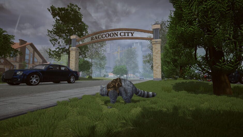 Wanted Raccoon Screenshot