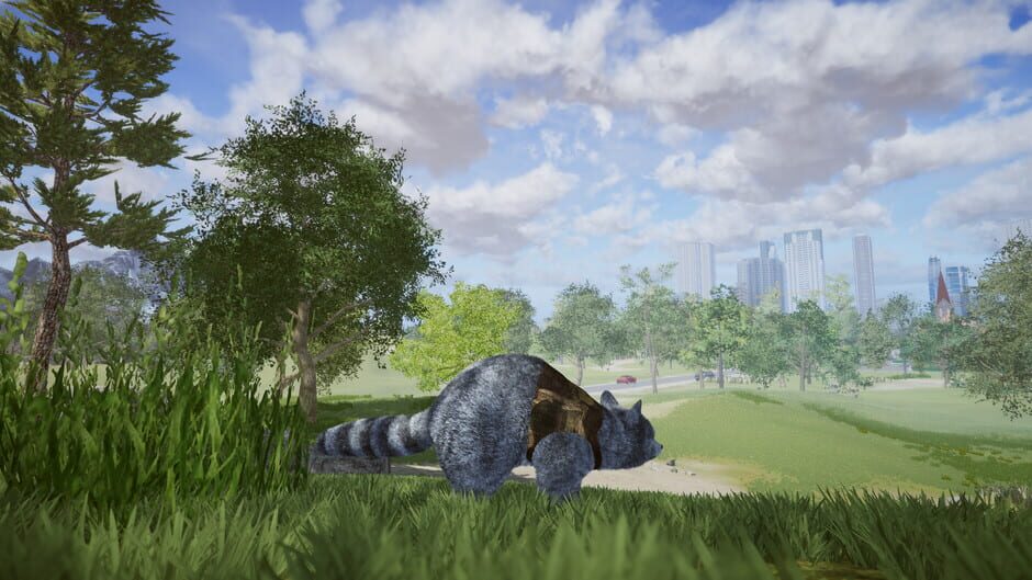 Wanted Raccoon Screenshot