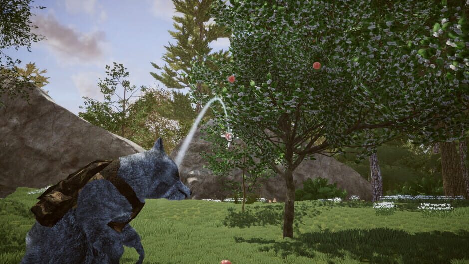 Wanted Raccoon Screenshot