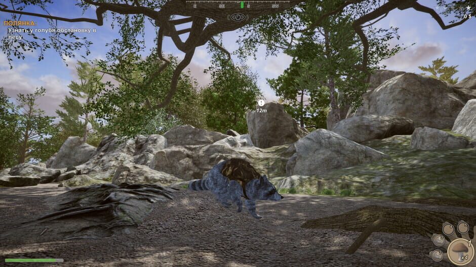 Wanted Raccoon Screenshot