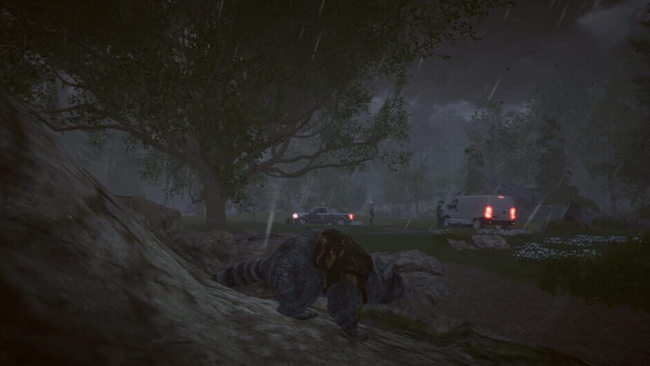 Wanted Raccoon Screenshot